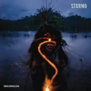 Album cover for Stormo - Endocannibalismo