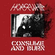 Album cover for Horsewhip - Consume and Burn