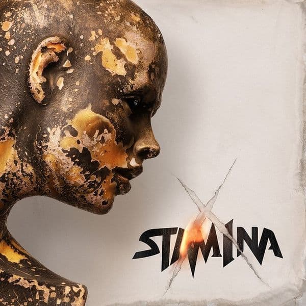 Album cover for Stam1na - X