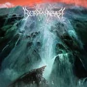 Album cover for Borknagar - Fall