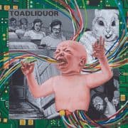 Album cover for Toadliquor - Back in the Hole