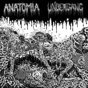 Album cover for Anatomia / Undergang - Anatomia / Undergang