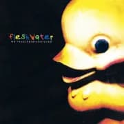 Album cover for Fleshwater - We're Not Here to Be Loved