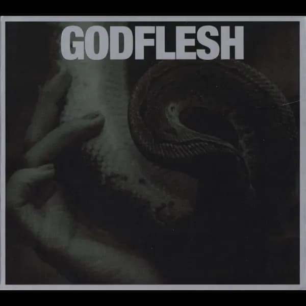 Album cover for Godflesh - Purge