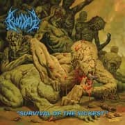 Album cover for Bloodbath - Survival Of The Sickest