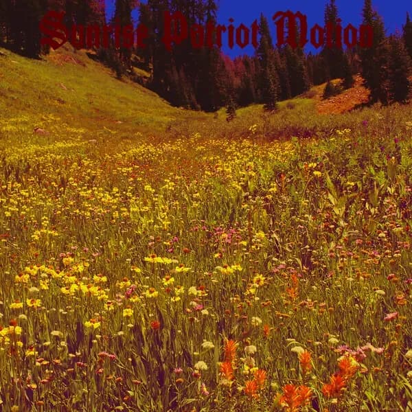 Album cover for Sunrise Patriot Motion - Black Fellflower Stream