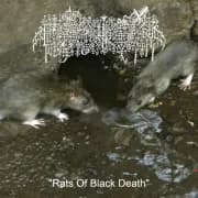 Album cover for Bloody Keep - Rats of Black Death