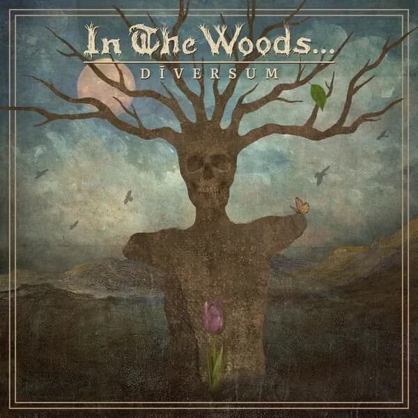 Album cover for In The Woods... - Diversum