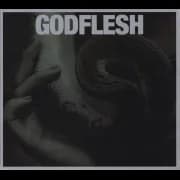 Album cover for Godflesh - Purge