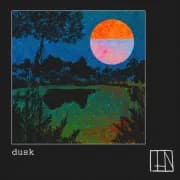 Album cover for Thin - Dusk